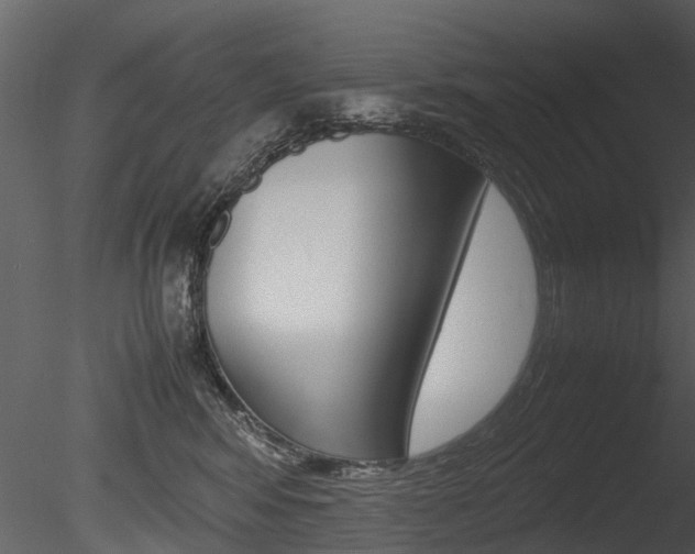 X0000085730424200703160841