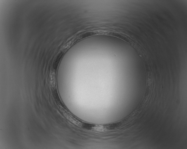 X0000085730425200703160841