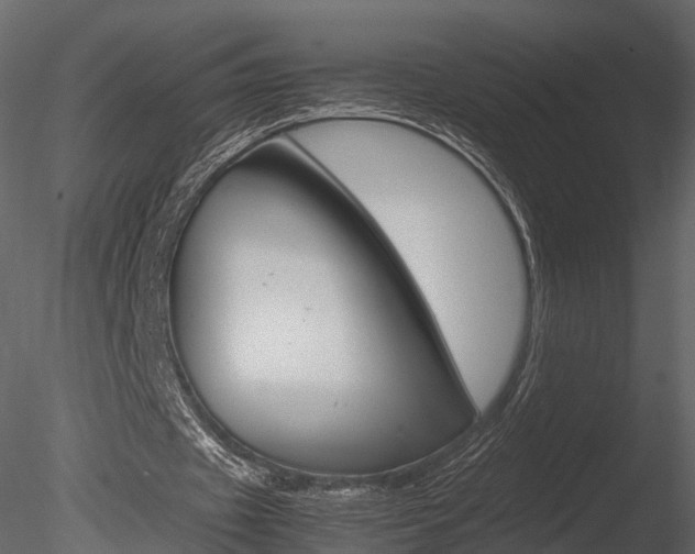 X0000085730433200703160841