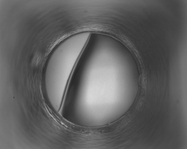 X0000085730434200703160841