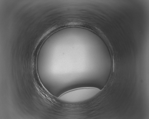 X0000085730435200703160841