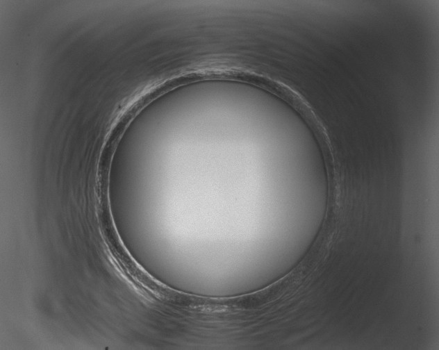 X0000085730439200703160841