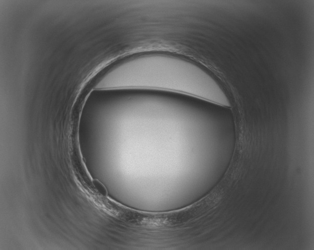 X0000085730440200703160841