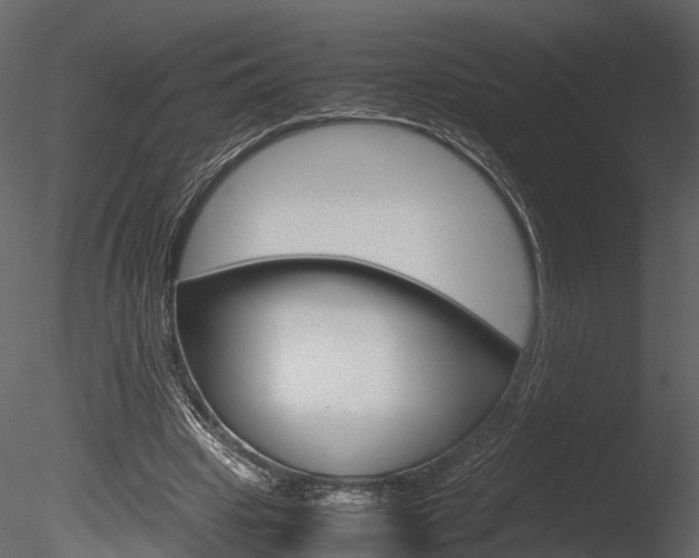 X0000085730441200703160841