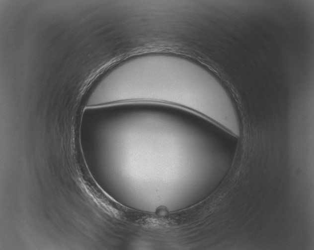 X0000085730442200703160841