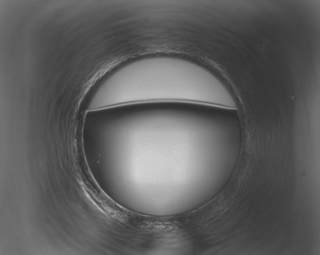 X0000085730443200703160841