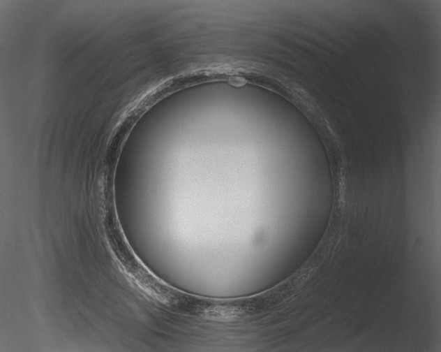 X0000085730444200703160841