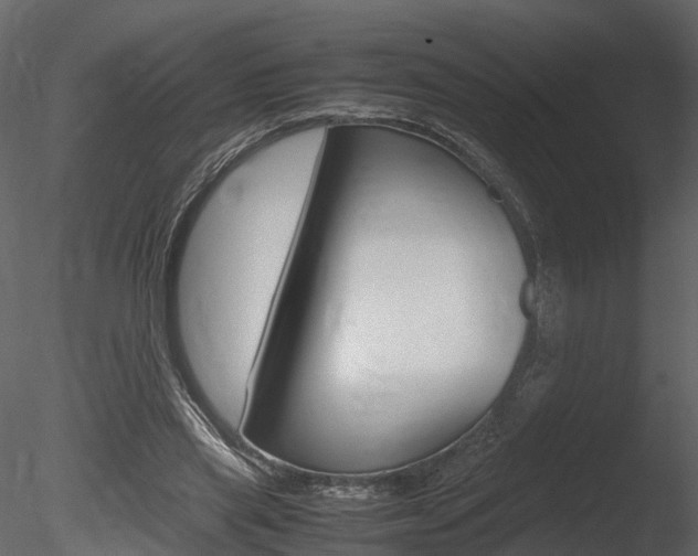 X0000085730445200703160841
