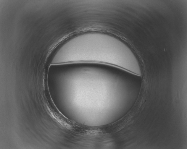 X0000085730446200703160841