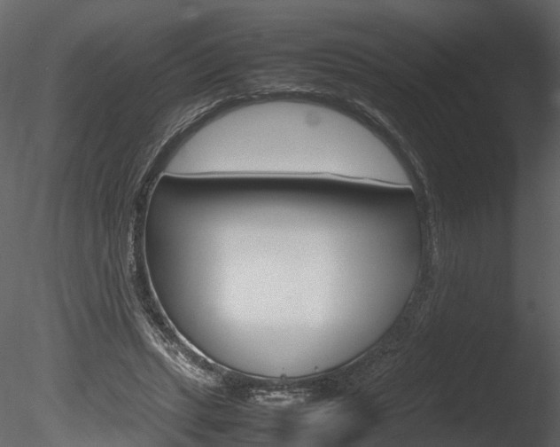 X0000085730447200703160841