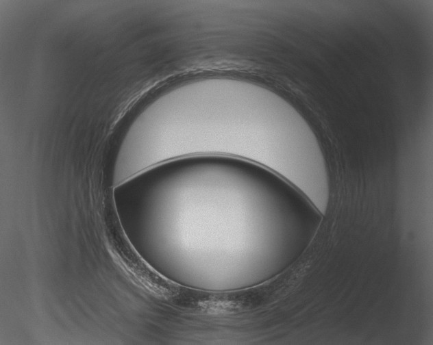 X0000085730448200703160841
