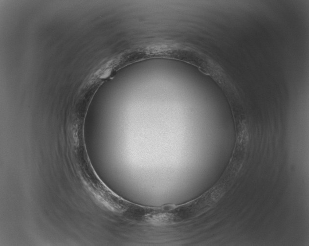 X0000085730452200703160841