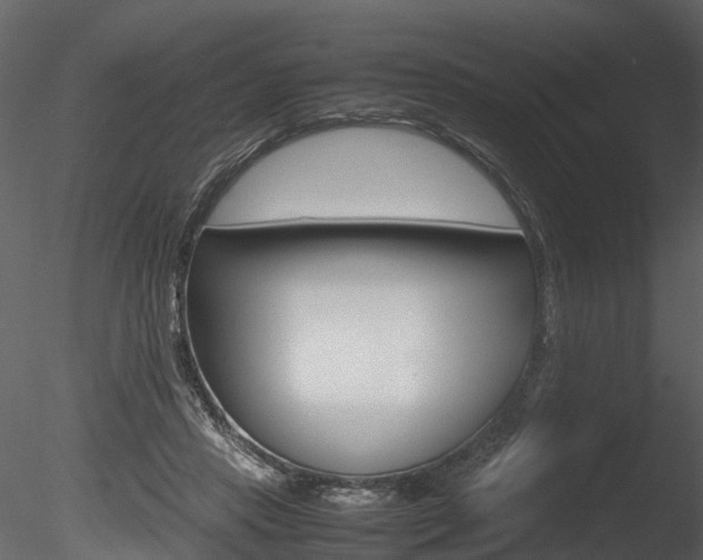 X0000085730453200703160841