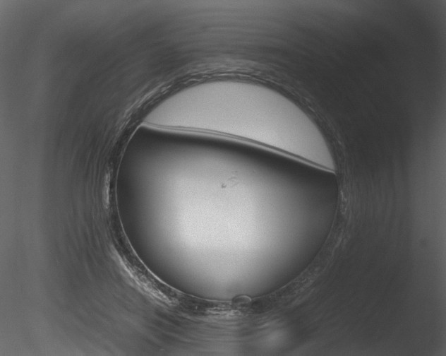 X0000085730454200703160841
