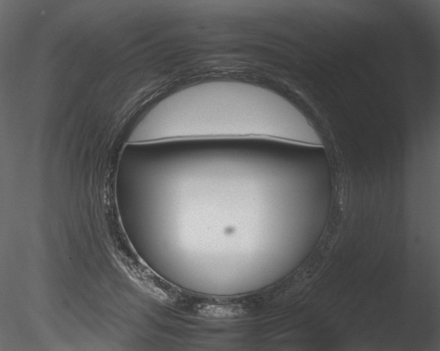 X0000085730455200703160841