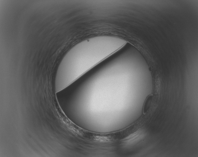 X0000085730457200703160841