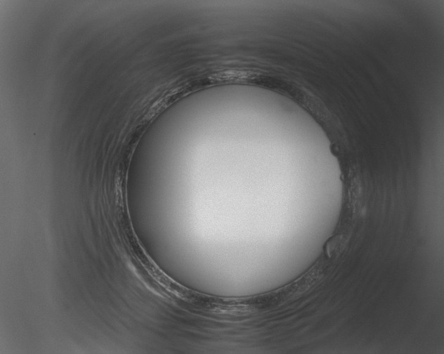 X0000085730459200703160841