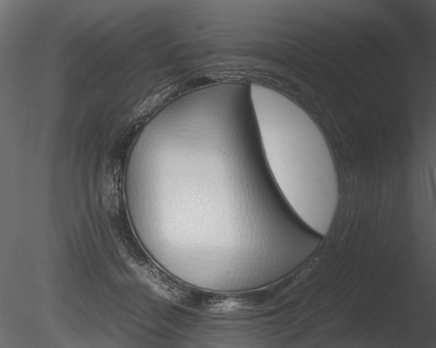 X0000085730460200703160841