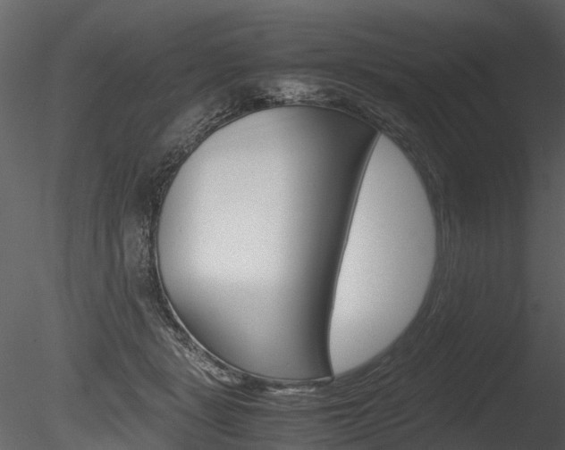 X0000085730461200703160841