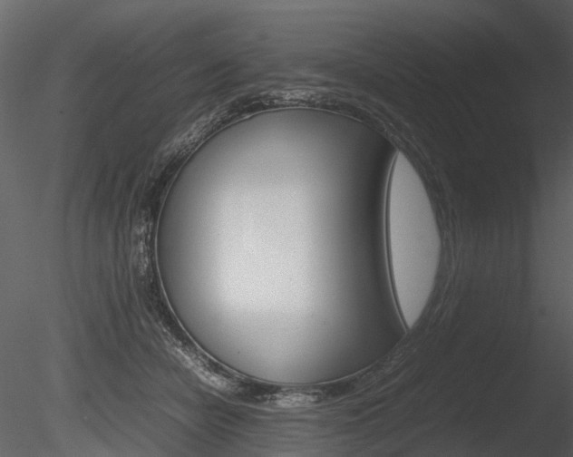 X0000085730462200703160841