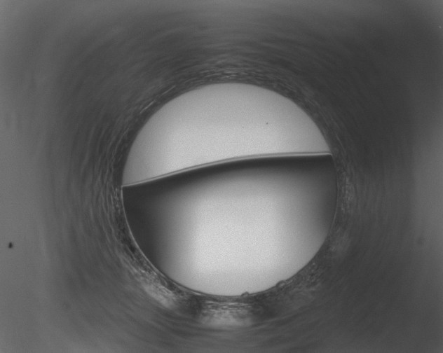 X0000085730463200703160841