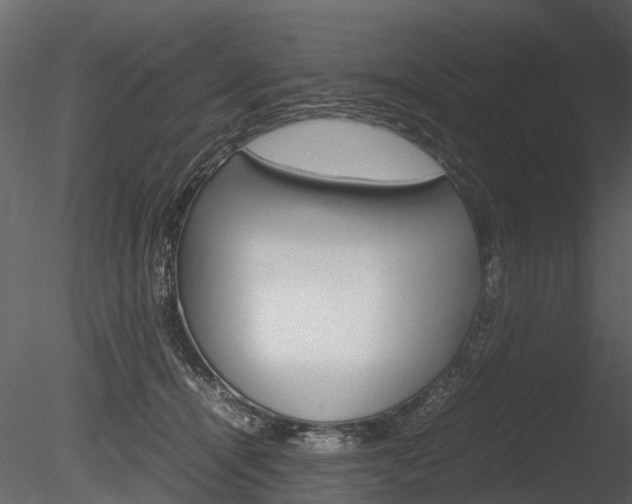 X0000085730464200703160841
