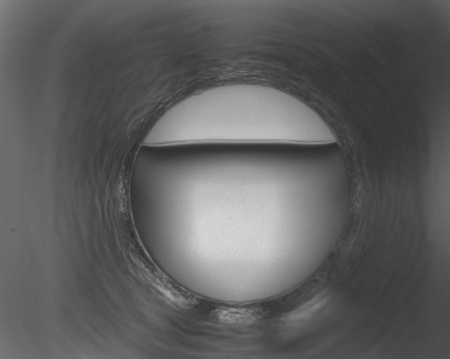 X0000085730465200703160841