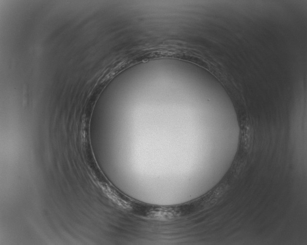X0000085730466200703160841