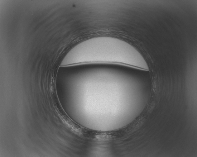 X0000085730470200703160841