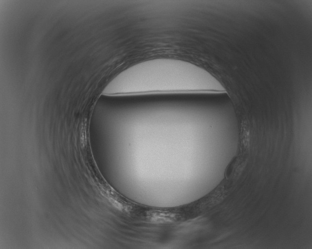X0000085730471200703160841