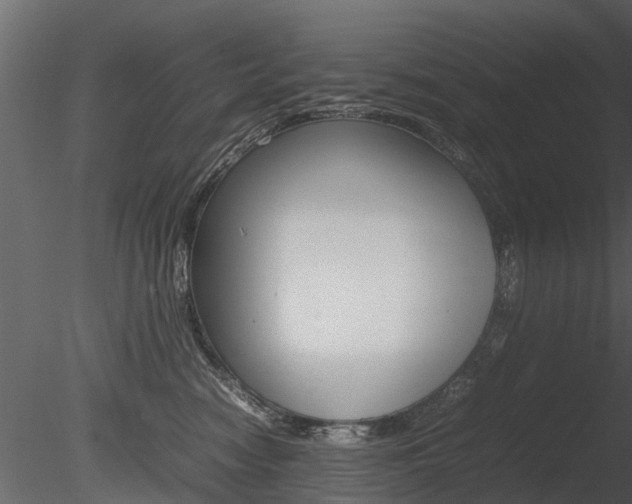 X0000085730474200703160841