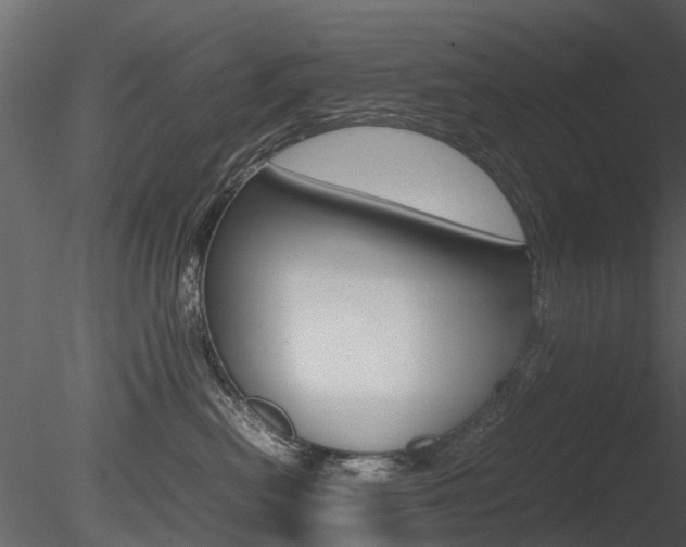 X0000085730478200703160841