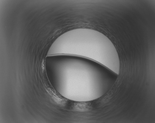 X0000085730479200703160841