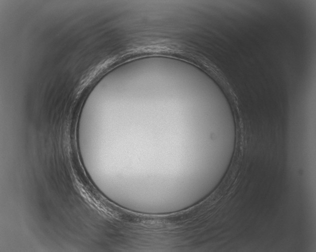 X0000085730482200703160840