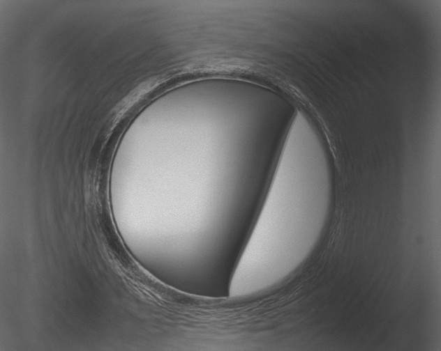 X0000085730483200703160840