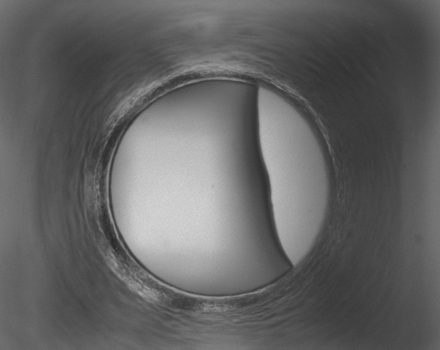 X0000085730487200703160840