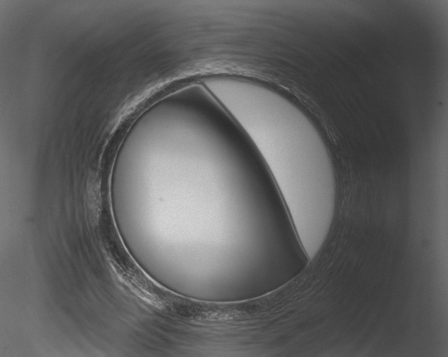 X0000085730488200703160840