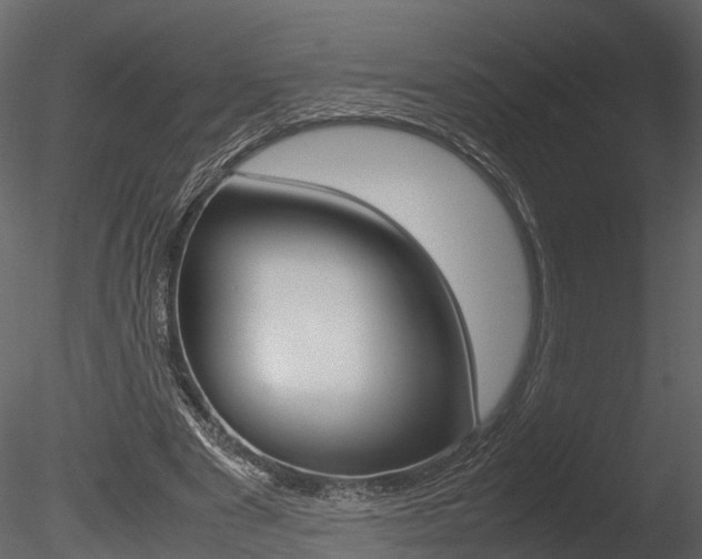 X0000085730489200703160840