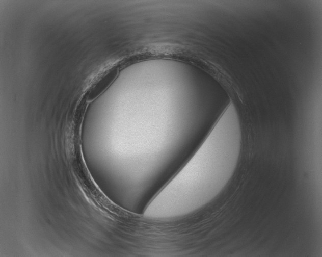 X0000085730492200703160840