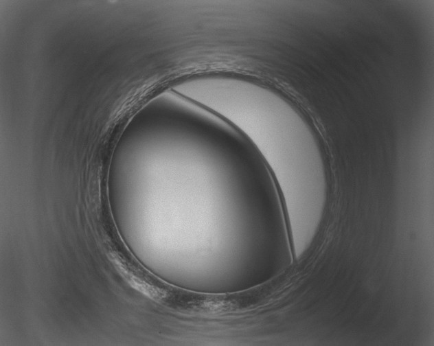X0000085730493200703160840