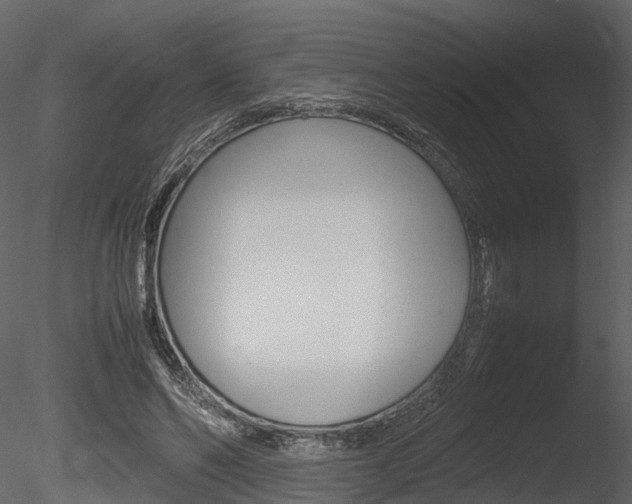 X0000085730494200703160840