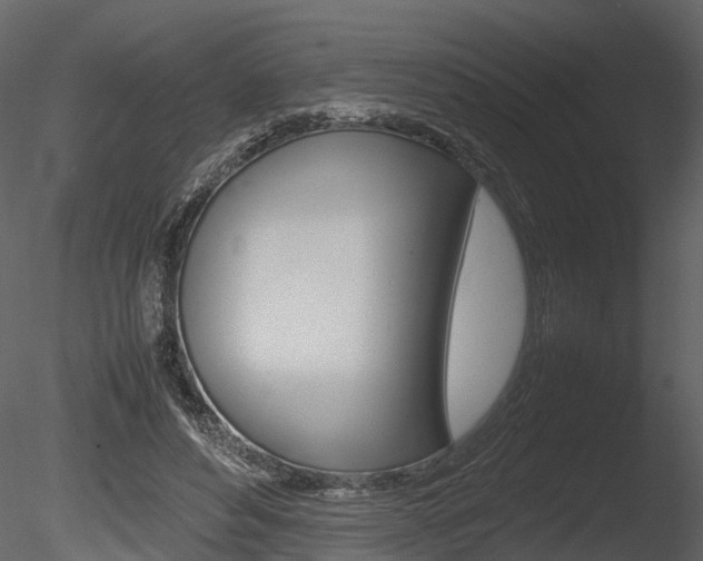 X0000085730496200703160840