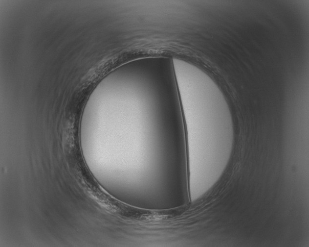 X0000085730497200703160840