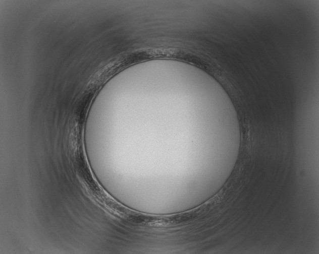 X0000085730498200703160840