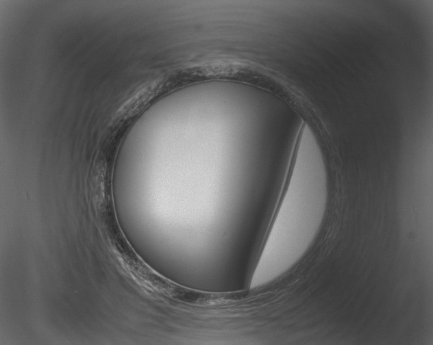 X0000085730501200703160840