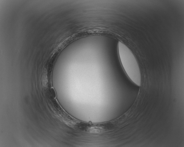 X0000085730508200703160840