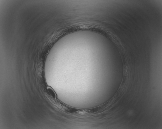 X0000085730509200703160840