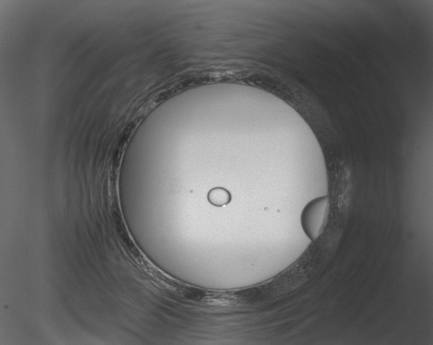 X0000085730510200703160840