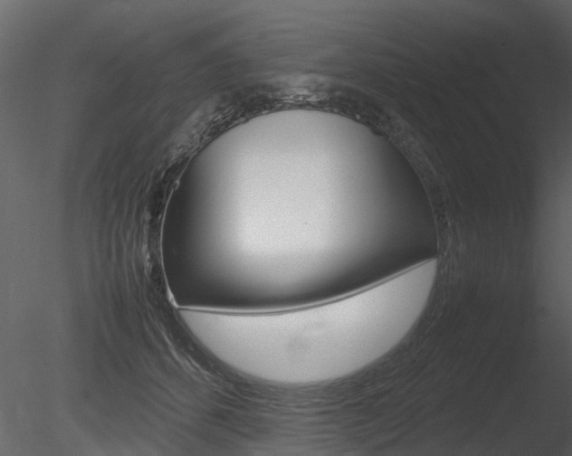 X0000085730512200703160840