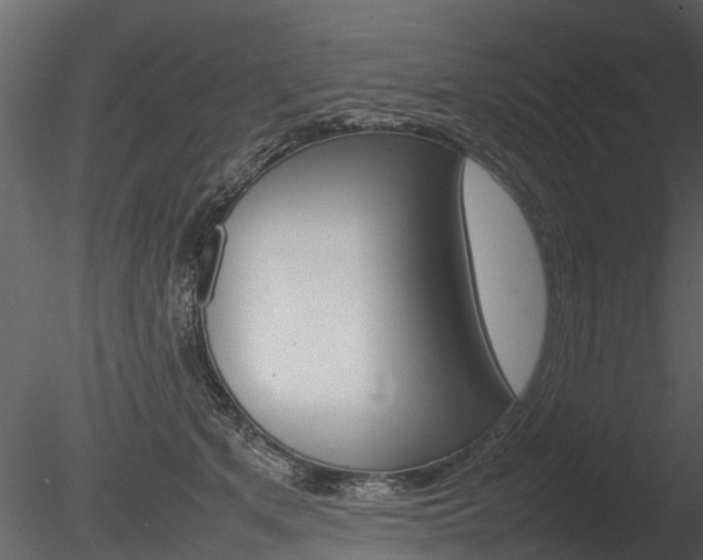 X0000085730513200703160840